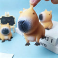 Squishy Kapibara